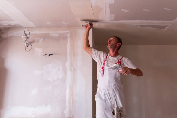 Best Ceiling Drywall Installation  in North Hornell, NY